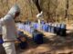 Aseguran en un día 12 narcolaboratorios en Sinaloa