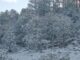 Se mantiene pronóstico de lluvias y nevadas para el fin de semana