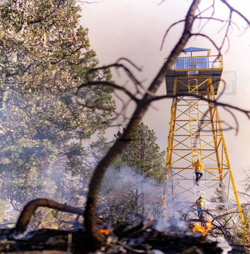 Registra SDR sólo 2 incendios forestales este domingo