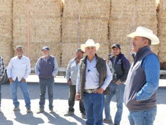 Entrega Diputado Arturo Zubía 300 pacas de rastrojo a productores ganaderos en Jiménez