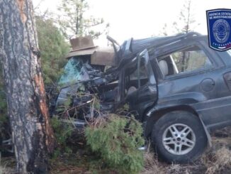 Muere conductor al chocar en tramo de Gómez Farías a Madera