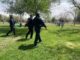 Implementarán operativo de sobrevigilancia durante Domingo de Pascua