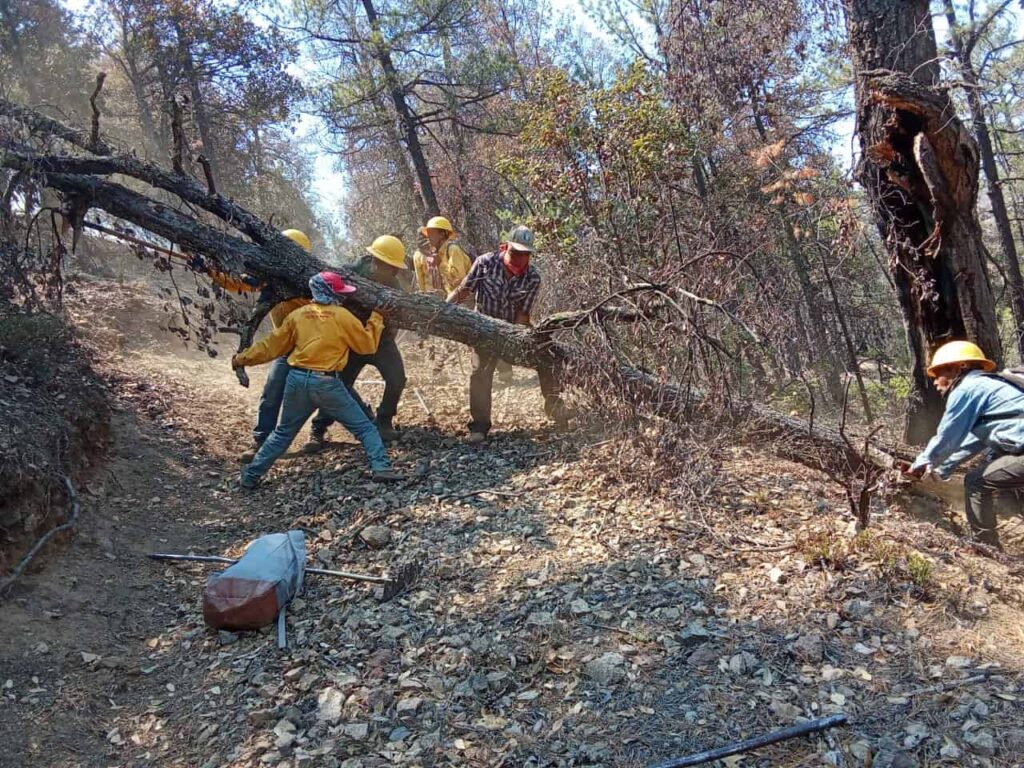 Combaten 438 brigadistas 18 incendios forestales activos en Chihuahua