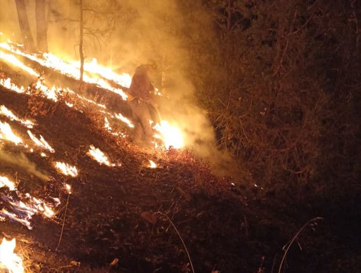 Brigadistas han apagado 388 incendios en lo que va del año