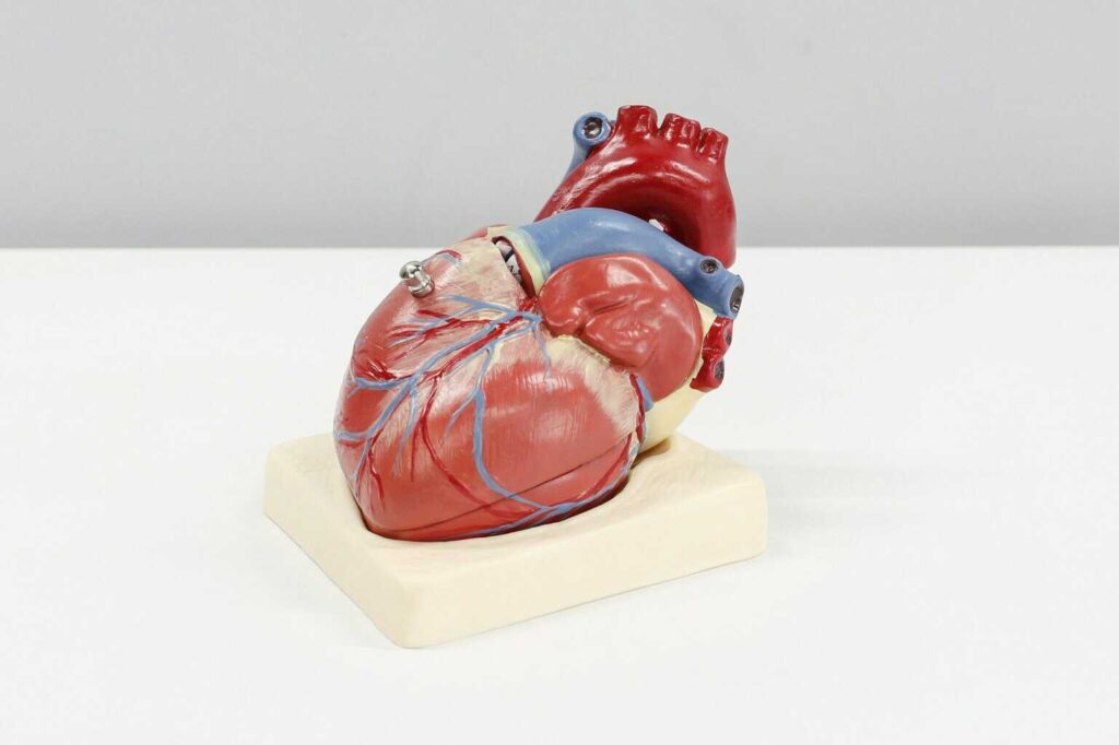 El 60 % de los mexicanos tiene riesgo de desarrollar enfermedades cardiovasculares