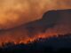 Cambio climático elevaría hasta 15 % la mortalidad en México, según estudio