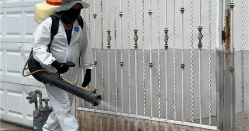 Refuerza Municipio prevención contra la rickettsia con programa “Patio de Mi Casa”