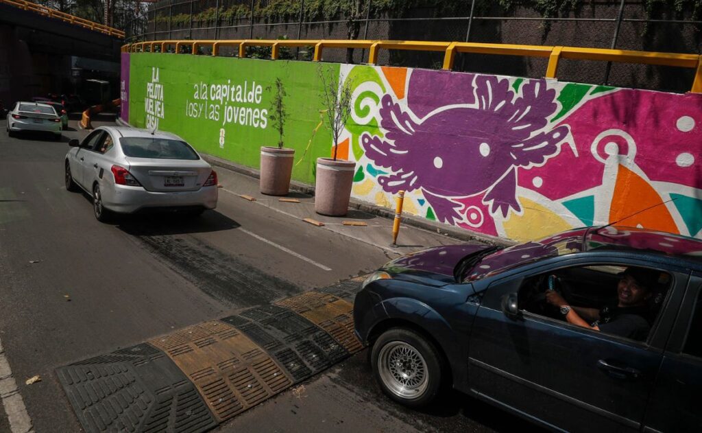 CDMX se pinta de ajolotes a días del Mundial, mientras la especie desaparece