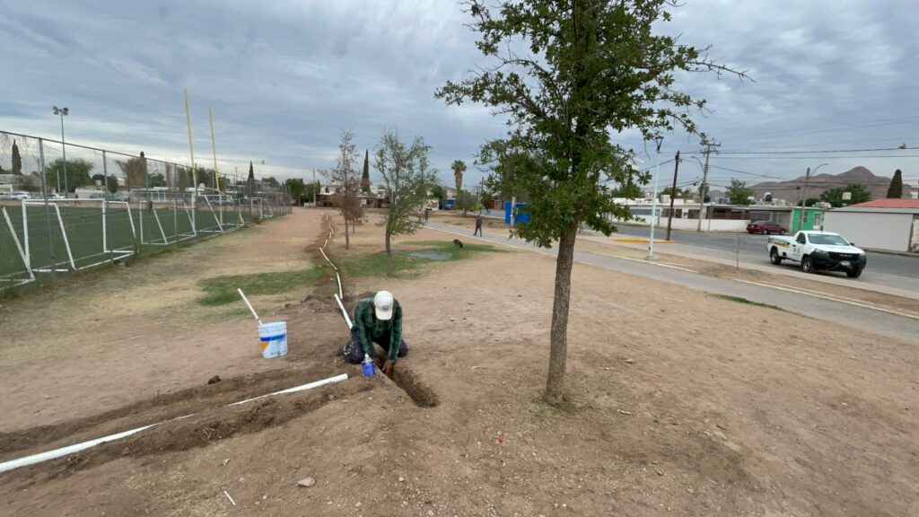 Concluye segunda etapa de sistema de riego en la Huerta Legarreta
