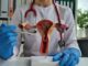 Campaña busca reducir brechas en cáncer cervicouterino, prevenible en 99.7 % en México