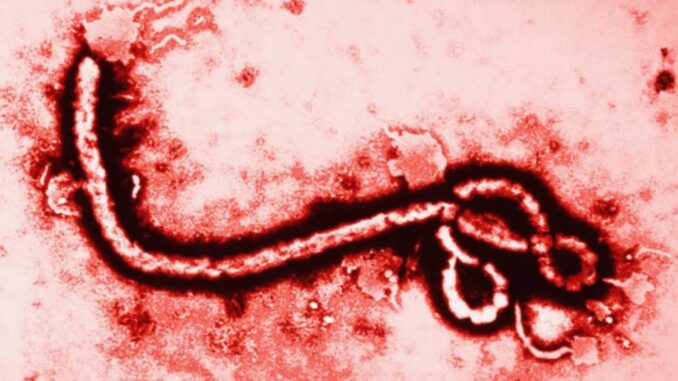 México sin casos de ébola; Secretaría de Salud refuerza vigilancia ante brote