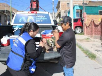 Avanza Municipio en la protección animal con jornadas de vacunación en colonias de la capital