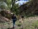 Busca Fiscalía Zona Sur a niño con reporte de ausencia en Guachochi