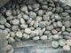 Dan prisión preventiva a mujer detenida con más de cinco mil pastillas de fentanilo en Sinaloa