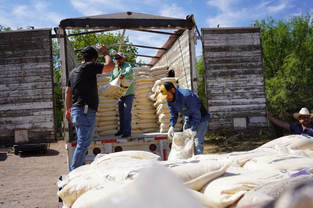Estado y Municipio entregan alimento para ganado a mil 150 productores de la zona rural de la capital