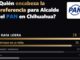 Rafa aventaja a Santiago y Brenda lidera por Morena: Vernier