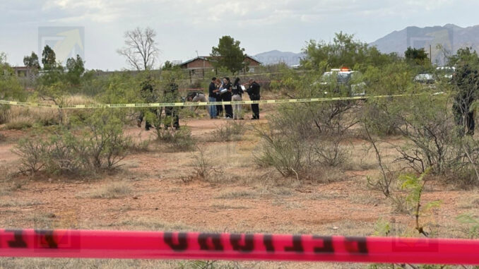 Encuentran cuerpo con impactos de bala entre arbustos en la colonia Valles de Chihuahua