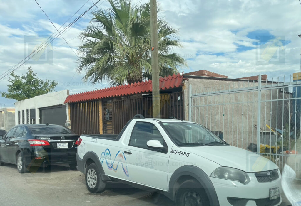 Investigan presunto caso de maltrato animal tras la muerte de una mascota