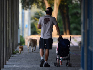 ¿Cuándo es el Día del Padre este 2026 en México?