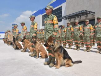 México despliega misión humanitaria a Venezuela tras sismos; envía más de 260 rescatistas y ayuda médica