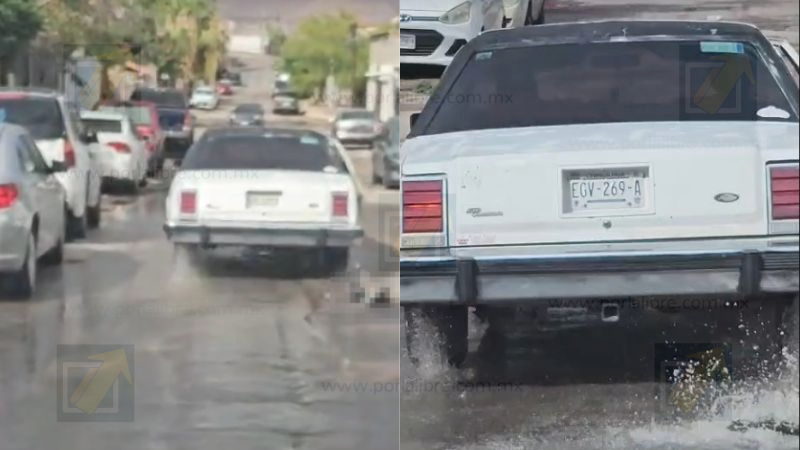 Captan brutal caso de maltrato animal en calles al norte de la ciudad