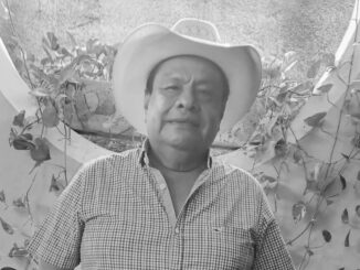 Matan a Apolonio Álvarez, exalcalde de Igualapa, Guerrero