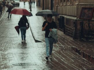 Clima hoy 2 de julio: onda tropical 14 provocará lluvias muy fuertes