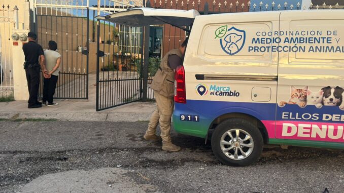 Detienen a hombre por maltrato y resguardan a perrita y sus 5 cachorros