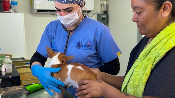 Esterimóvil del Municipio fortalece la atención al sur de la ciudad con esterilizaciones gratuitas en Sierra Azul