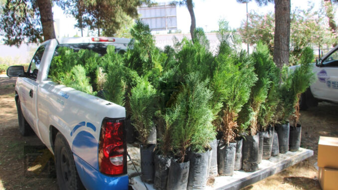 Invita SDR a entrega de árboles y semillas por el Día Nacional del Árbol