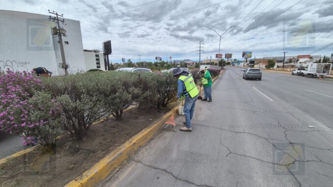 Refuerza Municipio el corte y retiro de maleza en vialidades del norte tras recientes lluvias