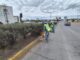 Refuerza Municipio el corte y retiro de maleza en vialidades del norte tras recientes lluvias
