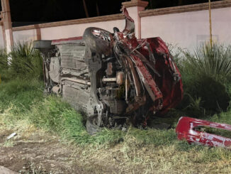 Aparatoso accidente en la avenida Palestina: Conductor choca contra muro, derriba tres palmeras y vuelca