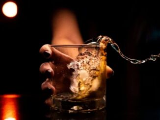 Varias ONG van por fortalecer la participación juvenil en políticas sobre alcohol en México