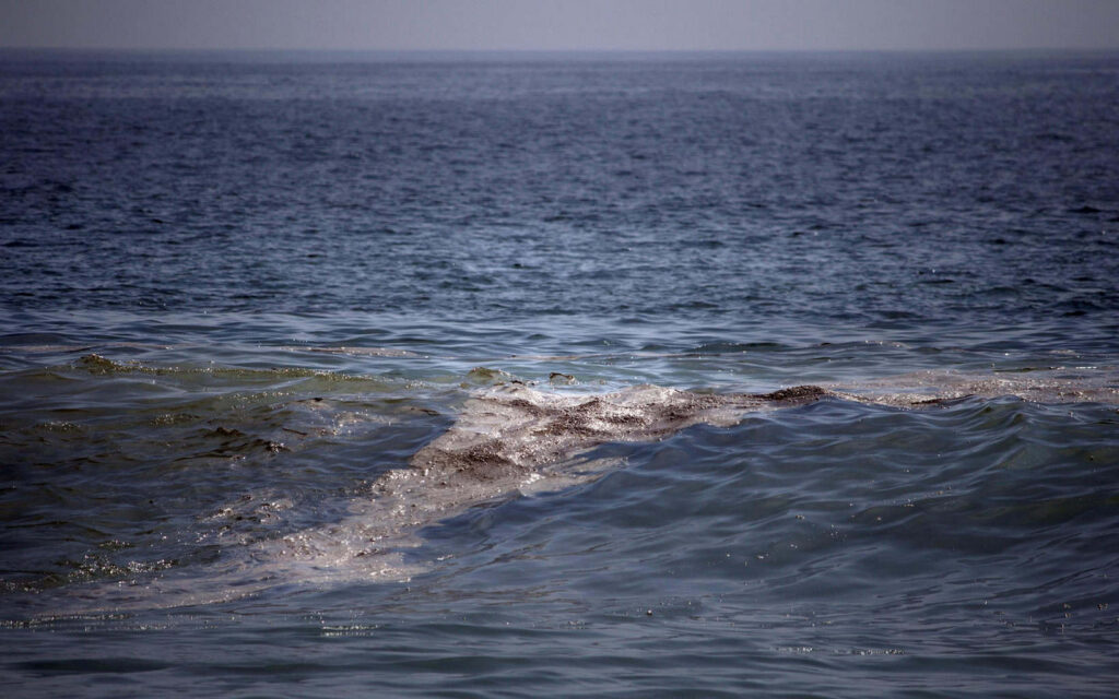 mancha de crudo en el golfo de México tiene «impacto severo» en el ecosistema