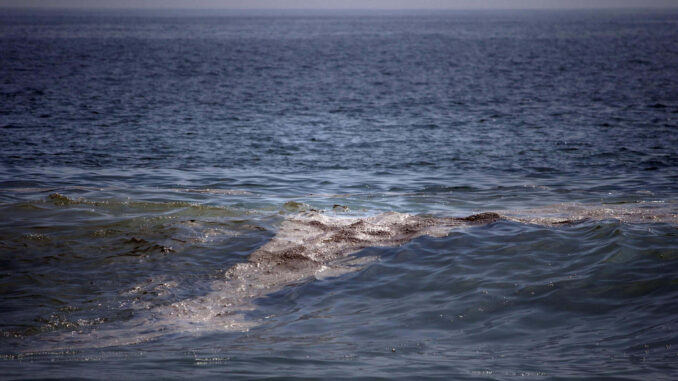 mancha de crudo en el golfo de México tiene «impacto severo» en el ecosistema