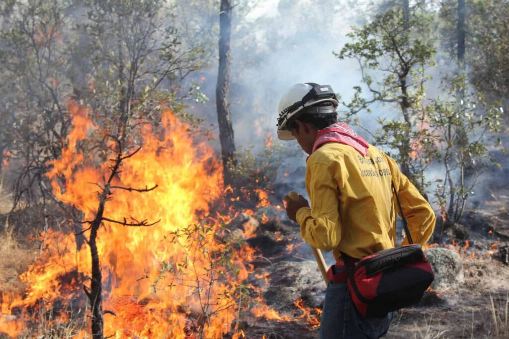 Atienden 50 combatientes seis incendios forestales en Chihuahua