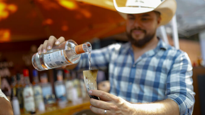 Caída de precios de agave deja campos abandonados y plagas, dicen tequileros