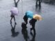 Clima de hoy 25 de julio: prevén lluvias fuertes en gran parte de México para este sábado