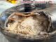 Descubren tres kilos de presunta metanfetamina en aeropuerto de Toluca
