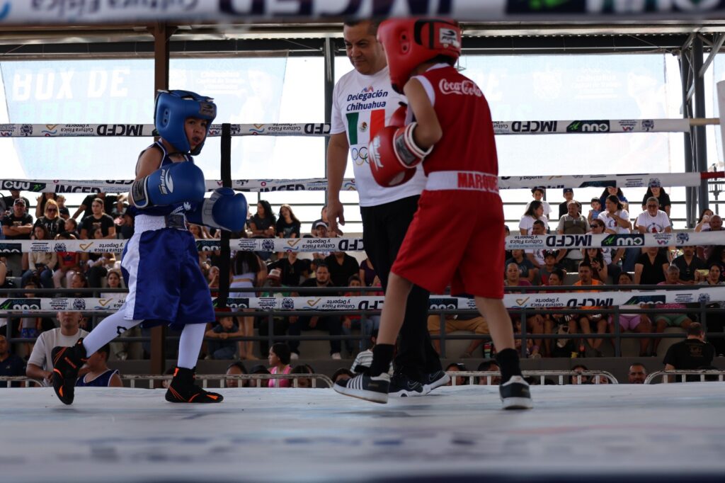 Invita Municipio al Box de Barrios este fin de semana en el Polideportivo Luis H. Álvarez