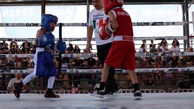 Invita Municipio al Box de Barrios este fin de semana en el Polideportivo Luis H. Álvarez