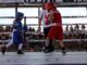 Invita Municipio al Box de Barrios este fin de semana en el Polideportivo Luis H. Álvarez