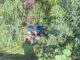 Conductora ilesa tras caer en arroyo de 8 metros de profundidad en colonia Ramón Reyes