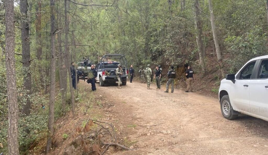Hallan tres cuerpos en comunidad de Guadalupe y Calvo; son jóvenes