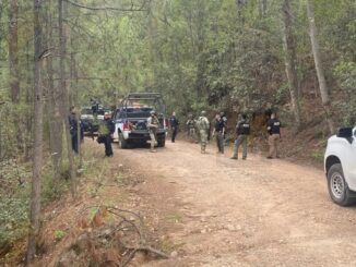 Hallan tres cuerpos en comunidad de Guadalupe y Calvo; son jóvenes