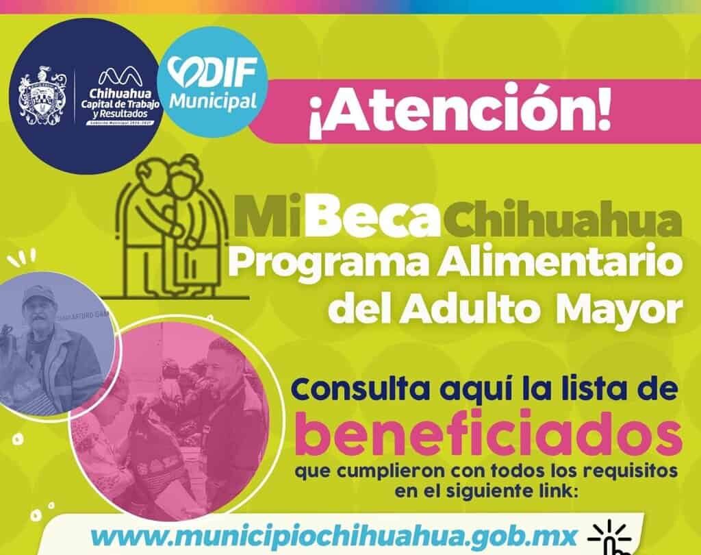 ¿Aplicaste para PAAM 2026? Anuncia Municipio los resultados