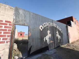 suman 47 detenidos y reportan avance del 64.4 % del procesamiento del sitio