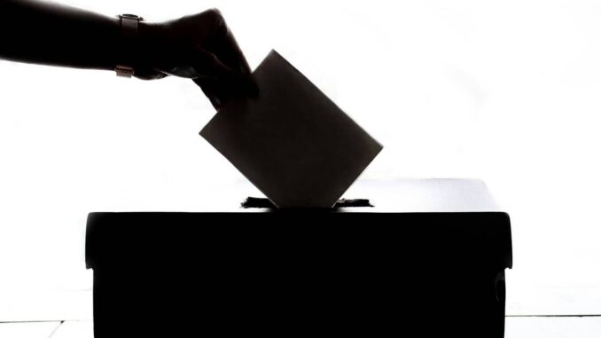 Morena buscará convencer desde el Senado; PT y Verde primero leerán reforma electoral