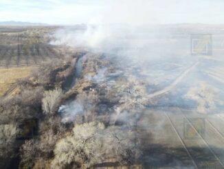 Se registra fuerte incendio en pastizal de Buenaventura